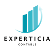 Experticia Contable