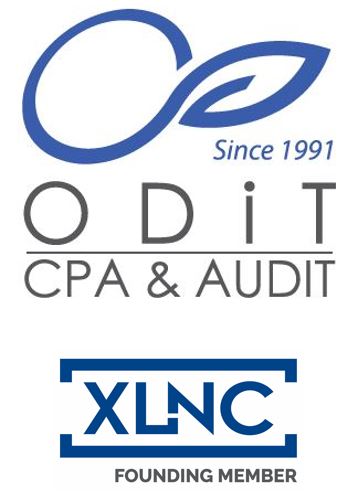 Odit Chartered Accountants